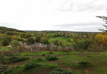 Percorso Marcia Voeren - Fouron-le-Comte (Balade 4) - Photo