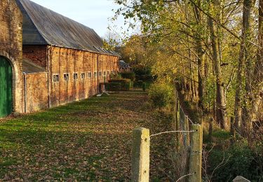 Randonnée Marche Wavre - Bawette - Hosté - Wavre - Photo