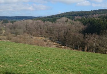 Randonnée Marche Amblève - boucle Moneteau  - Photo