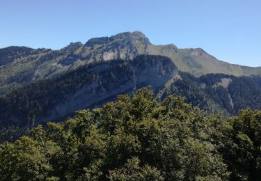 Tour Wandern Faverges-Seythenex - POINTE DU VELAN - Photo