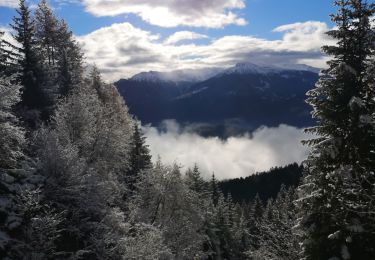 Trail Nordic walking Ayent - Anzère et retour  - Photo