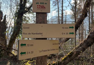 Trail Walking Saint-Ferréol - La côte de Marlens - Photo