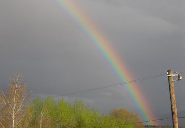 Percorso A piedi Victoria - Victoria - Muchia Tărâța - Cabana Podragu - Photo