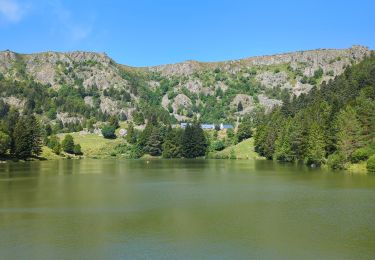 Trail Walking Orbey - Circuit des 2 lacs : lac du Forlet et lac Vert - Photo