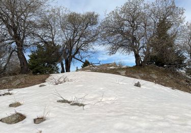 Trail Walking Bairols - Pointe des 4 Cantons  - Photo