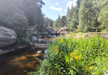 Randonnée Marche Peyre en Aubrac - Javols - Photo