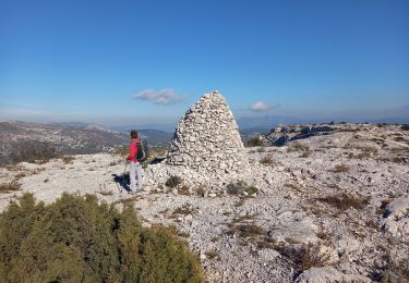 Trail Walking Marseille - Calanque-Mont Puget 29.01.2022 - Photo