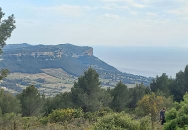 Tocht Stappen Cassis - Mont Gibaou - Photo