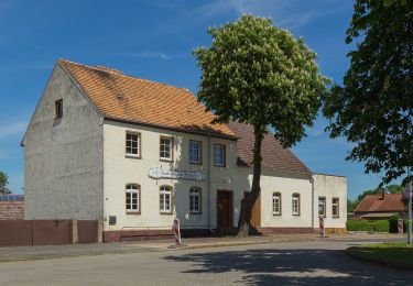 Percorso A piedi Märkische Heide - Wanderweg Schlepzig-Dürrenhofe (grüner Balken) - Photo