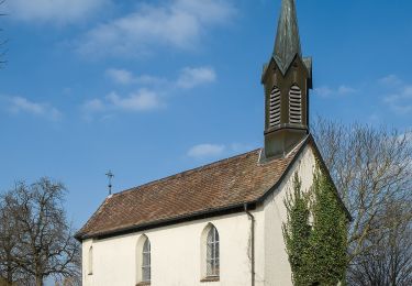 Randonnée A pied Oberteuringen - Kapellenweg - Photo