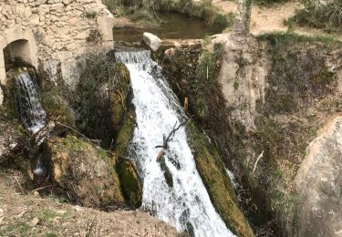 Tocht Stappen Le Tholonet - Les trois barrages - Photo