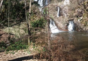 Trail Walking Chenailler-Mascheix - gorges de mémoire et cascade gourlastine - Photo