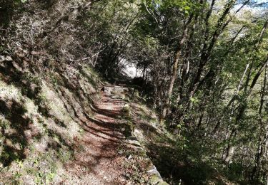 Trail Walking Courmes - bramafan cipieres - Photo