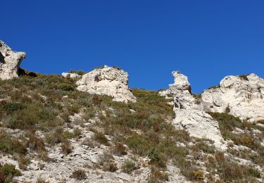 Trail Walking Marseille - la Barrasse - Photo