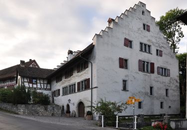 Tour Zu Fuß Otelfingen - Otelfingen - Buchs - Photo