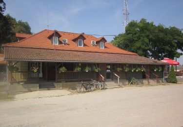 Excursión A pie Öttömös - S Petróczi iskola (AK) - Csongrád megye magaspontja - Öttömös - Photo