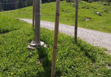 Trail Walking La Clusaz - le Crêt du lout - Photo