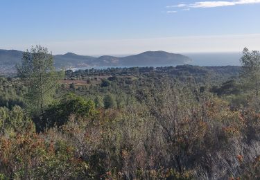 Trail Walking La Cadière-d'Azur - Télégraphe par la Louisiane  - Photo