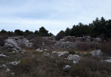 Trail Walking Cipières - De Cipieres au plateau de Cavillore - Photo