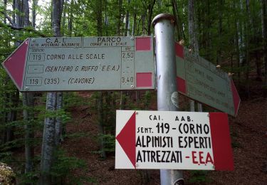 Trail On foot Lizzano in Belvedere - IT-113 - Photo