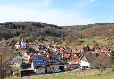 Randonnée A pied Flörsbachtal - Ortswanderweg Flörsbachtal 4 - Photo