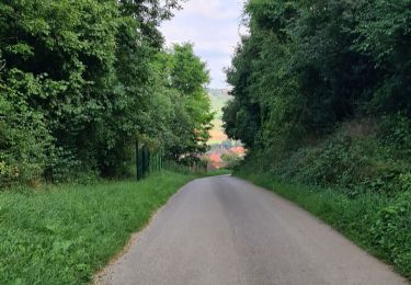 Randonnée Marche Bouxières-aux-Chênes - bouxieres aux chênes - la tour de crany - Photo