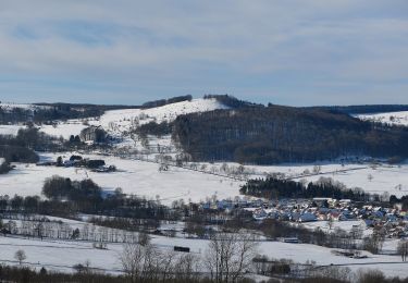 Tour Zu Fuß Ehrenberg - Rhönrundweg 7 - Photo