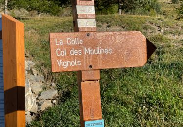 Randonnée Marche Péone - Mont Mounier - Photo