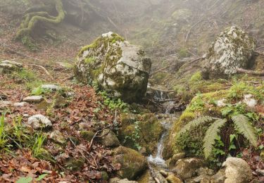 Trail Walking Corbel - Corbels, le col des egaux - Photo