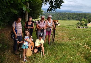 Tocht Stappen Flize - Boulzicourt bois de la hamelle - Photo