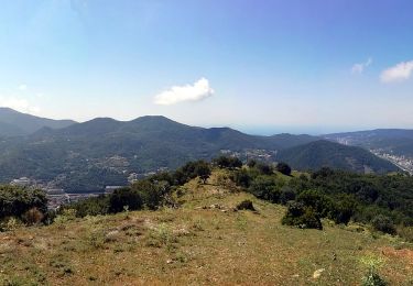 Randonnée A pied Gênes - Anello Acquedotto Storico di Genova (AQ2) - Photo