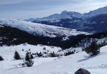 Randonnée Ski de randonnée La Plagne-Tarentaise - La Chaille. col à l'ouest du Rocher st Laurent - Photo