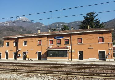 Excursión A pie Erbezzo - Dorsale Media della Lessinia - sezione Bernardi-Perii - Photo