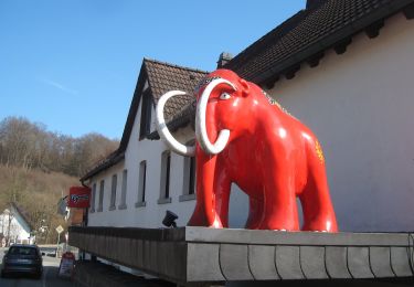 Tour Zu Fuß Balve - Bergbauwanderweg - Photo