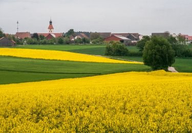 Tocht Te voet Greding - Quellenwanderweg - Photo