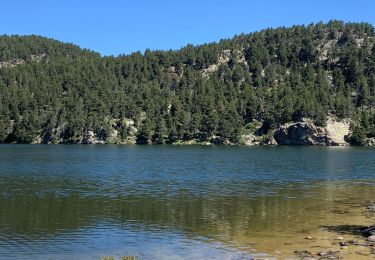 Tour Wandern La Cabanasse - La perche bouillouses - Photo