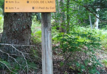 Trail Walking Varces-Allières-et-Risset - rocher de l'Ours 2 - Photo