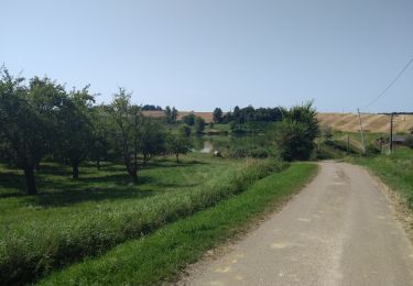 Randonnée Marche Lévignac-de-Guyenne - A travers les champs et vergers au sud de Lévignac De Guyenne - Photo