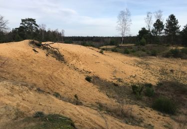 Tocht Stappen Maaseik - Rond Oudberg - Photo