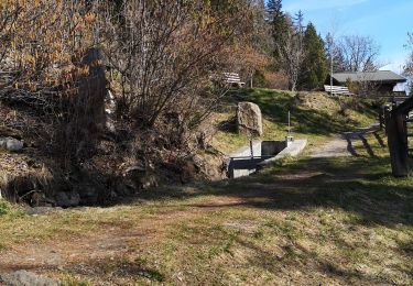 Percorso Camminata nordica Arbaz - le pertou - Photo