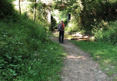 Tocht Stappen Bellevigne-en-Layon - Faye d’Anjou  - Photo