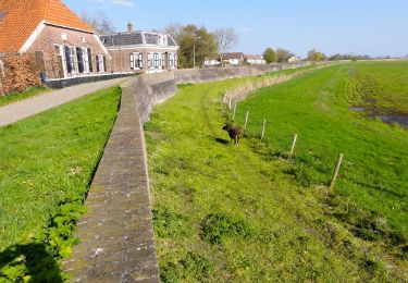 Randonnée A pied Zwartewaterland - WNW IJsseldelta - Hasselt -oranje route - Photo