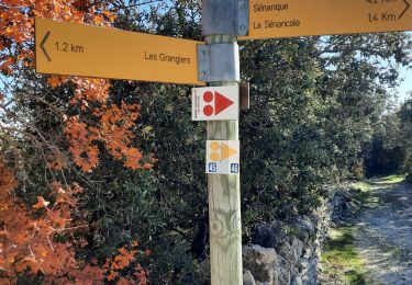 Tocht Stappen Cabrières-d'Avignon - carrières moulin rupestre gordes - Photo