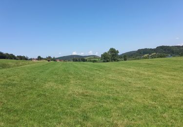 Trail Horseback riding Saugeot - Jura 3 - Photo