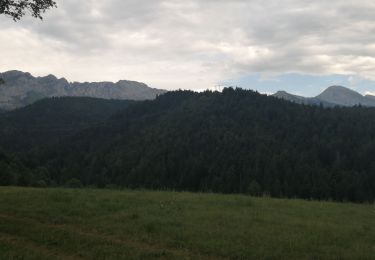 Tocht Stappen Villard-de-Lans - Cascade  - Photo