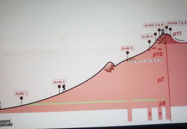 Tour Wandern Fréjus - Tracé du sentier géologique virtuel ,du Testanier au mont Vinaigre - Photo