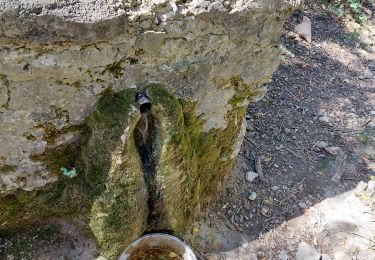 Randonnée A pied Auriol - le tuny par le plan d'aups - Photo