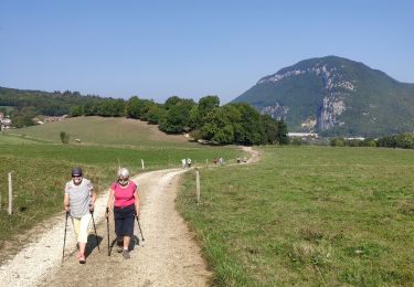 Trail Walking Poisy - Marais de poisy, chemin de Poësy et vergers de Macully - Photo