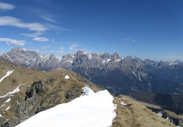 Trail On foot Mezzano - Sentiero di Grugola - Photo