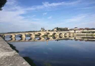 Excursión Senderismo Blois - Dimanche 7 juillet 3019 - Loire -  seule - Photo